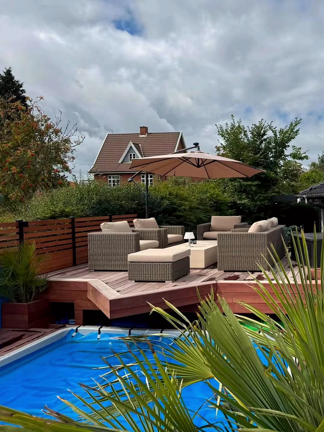 Pool og terrasse med loungemøbler og palme i forgrunden