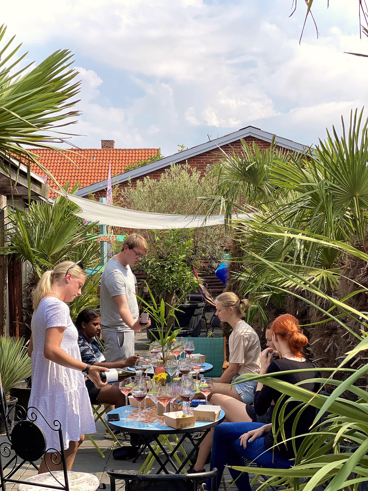 Gæster til vinsmagning på terrasse omgivet af palmer